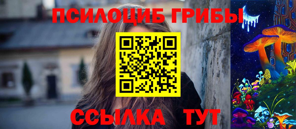 Галлюциногенные грибы Magic Shrooms  Вход с VPN  Знаменск  Псилоцибиновые грибы Magic Shrooms 